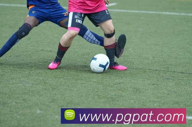 App Interface Preview